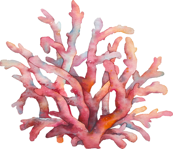 Coral