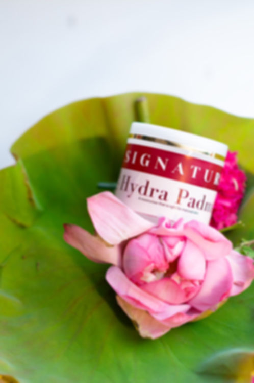 Hydra Padma