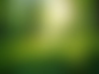 The Importance of Sustainable Living in Today's World