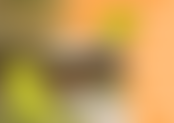 春光城市野餐日