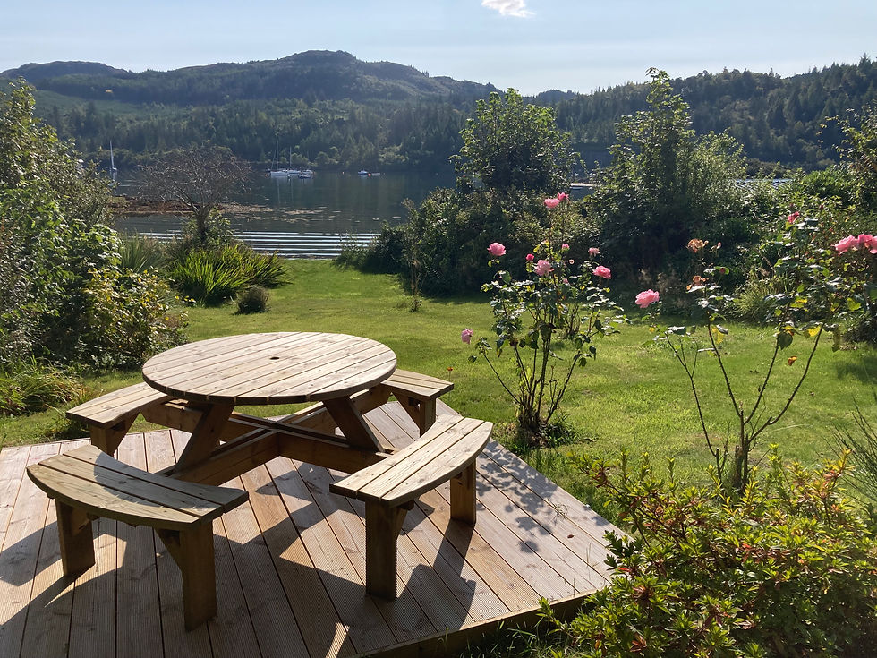 Decking and picnic bench