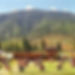 wangdue-festival-150x150_edited.jpg
