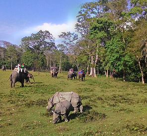 Chitwan
