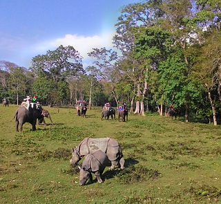 6 Days - Kathmandu Chitwan Wildlife Scenic Overland