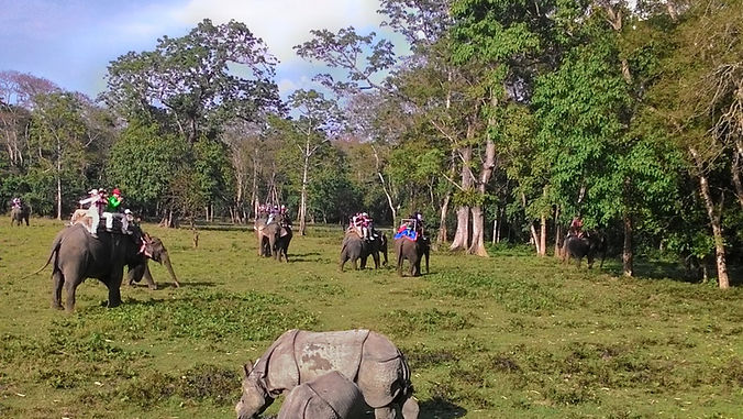 Chitwan
