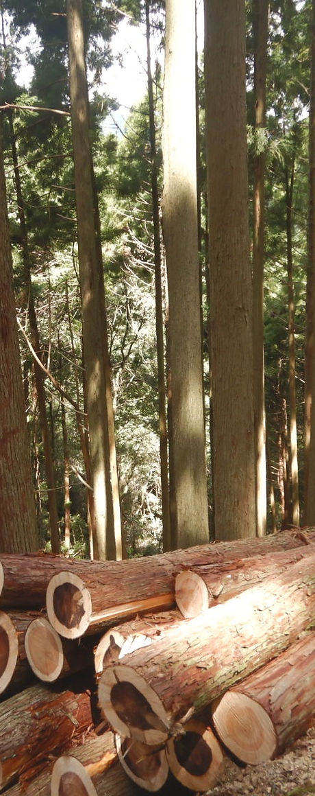 はい積み状況 (4)_edited.jpg