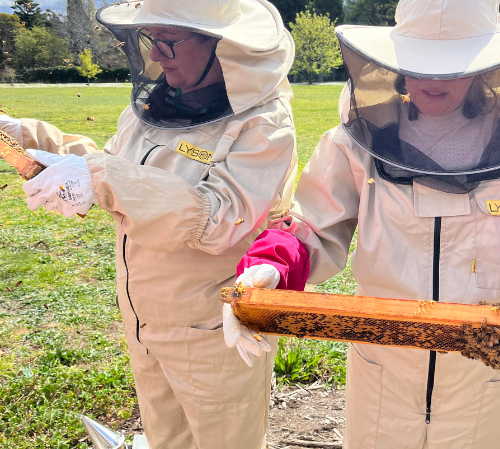 bee queens tiles  (14).png