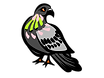 IMG_3430.PNG