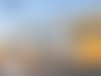 Mono-slope industrial steel building inside JSW Steel Bellary facility showing long-span roof structure under construction.