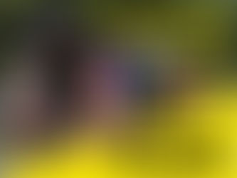 THE RLSCC 2022 ROAD RACE 21st AUGUST - HURRY LIMITED PLACES