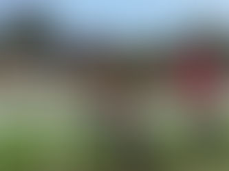 West Midlands Cyclo-Cross League round 9 - Hereford