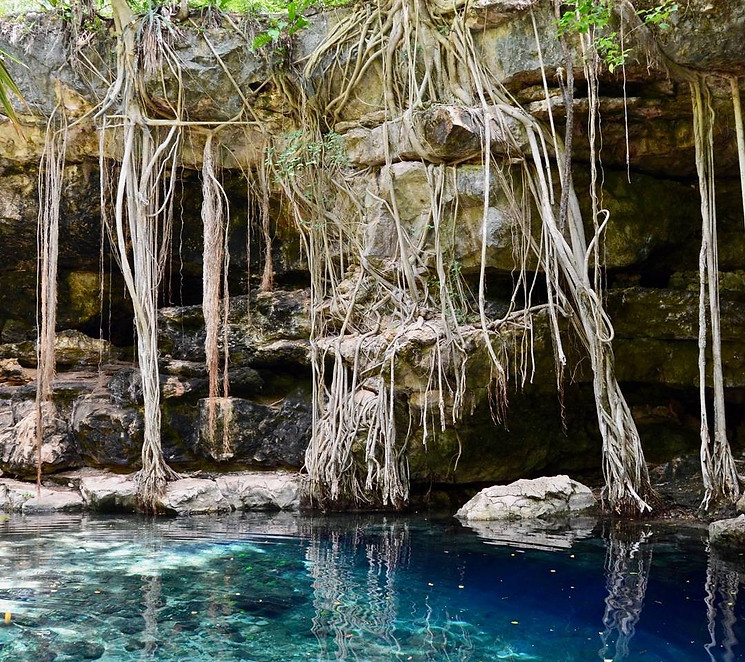 cenote.jpeg