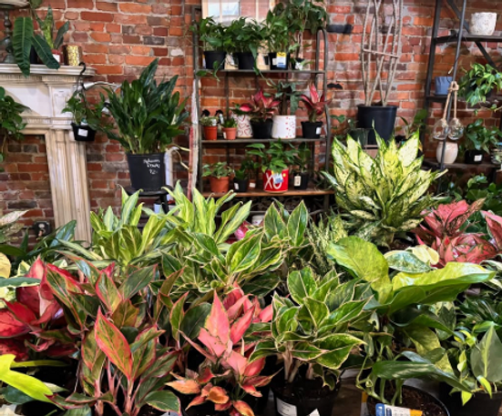 Screenshot 2025-09-03 at 7.02.46 PM.png