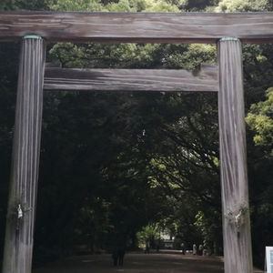 熱田神宮にて交通安全祈願を行いました。