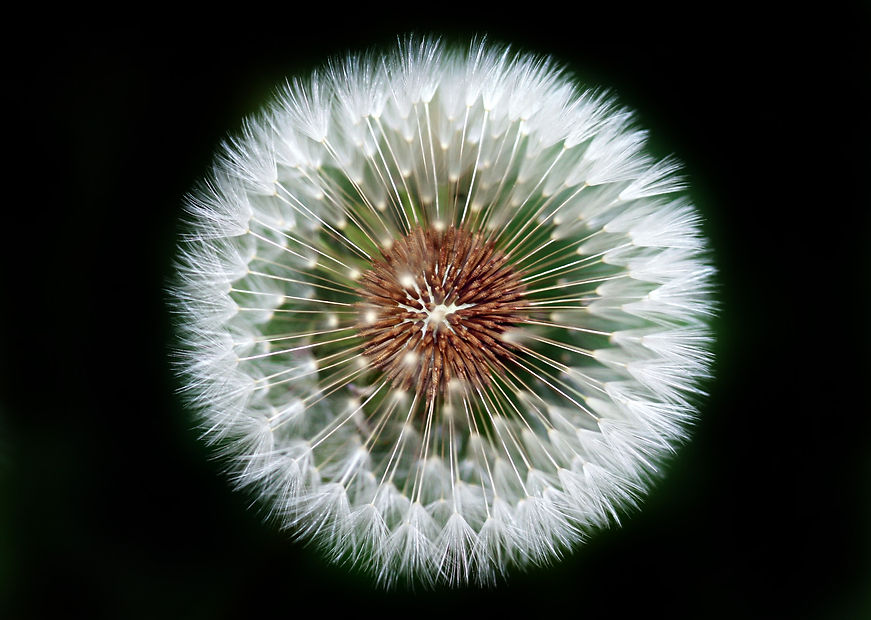 olena-ivanova-uKVs2ovR0KY-unsplash.jpg