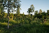 DSC07954.jpg