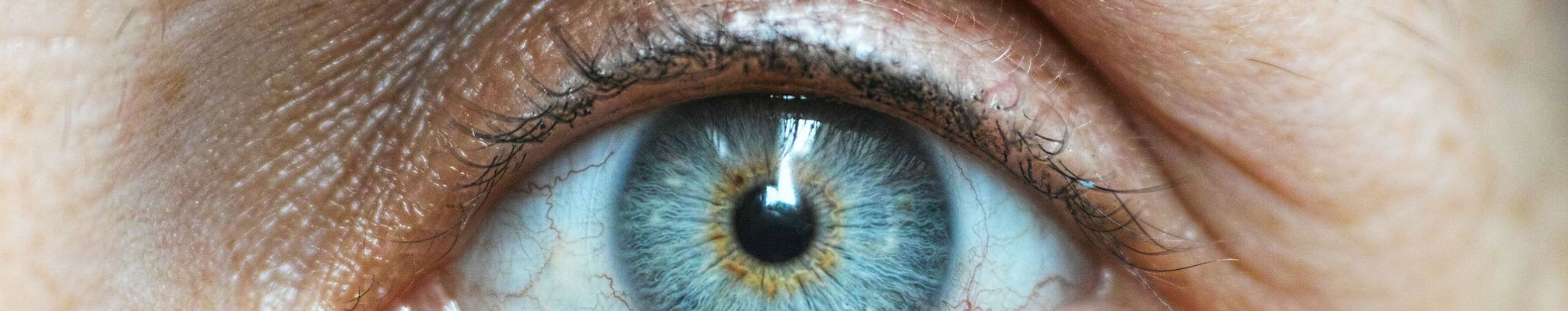eye.jpg