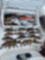 image3[93].jpeg