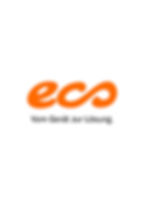 ecs logo auf weiss_edited.jpg