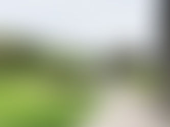 Piet Boon revela su naturaleza multitarea en su granja al noreste de Ámsterdam. 