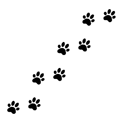 transporte de animales domesticos2.gif