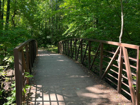 My Quantum Jumping Journey: Manifesting new realities in the forest
