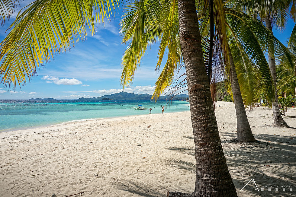 Malcapuya Island