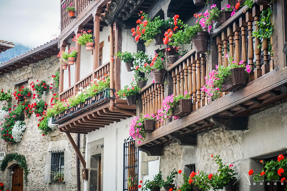 Potes