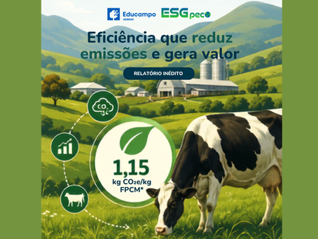 Destaque