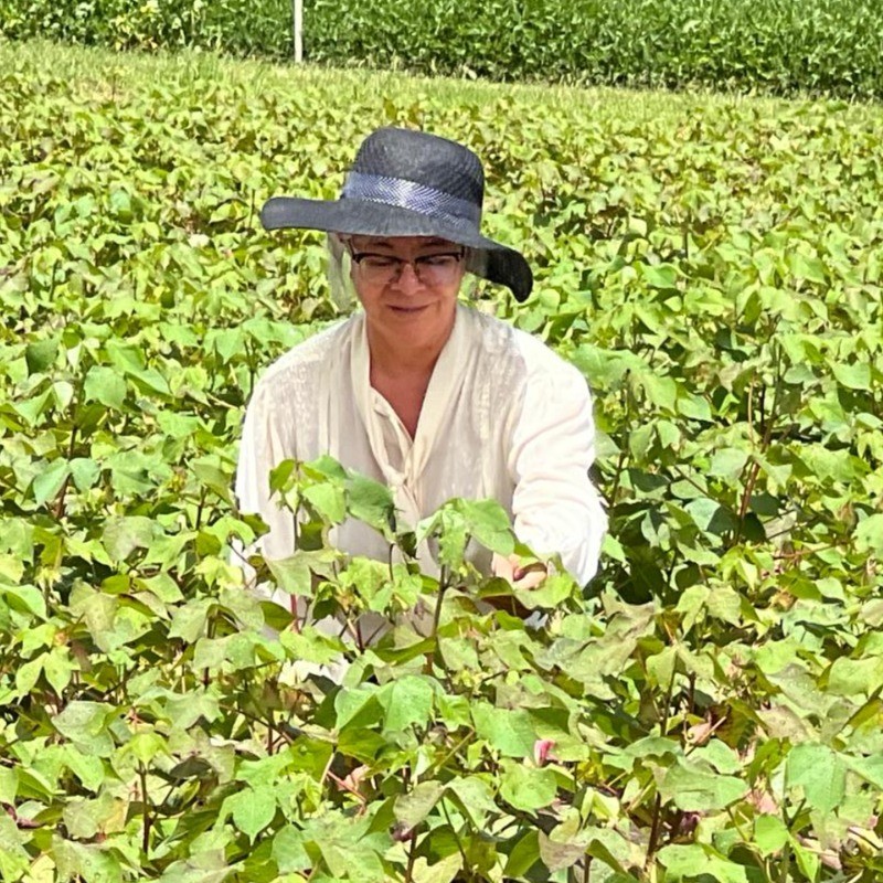 Foto do escritor: Eliete M M Fagundes