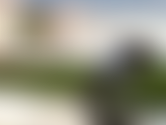 Despertar Regenerativo