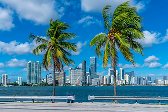 miami.png