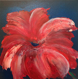 Hibiskus