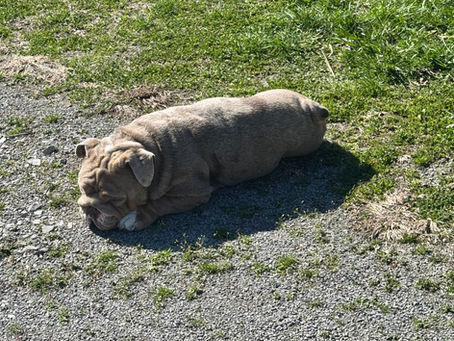 ❄️ From Flip-Flops to Frost

Back to Kentucky (Whether We Were Ready or Not)