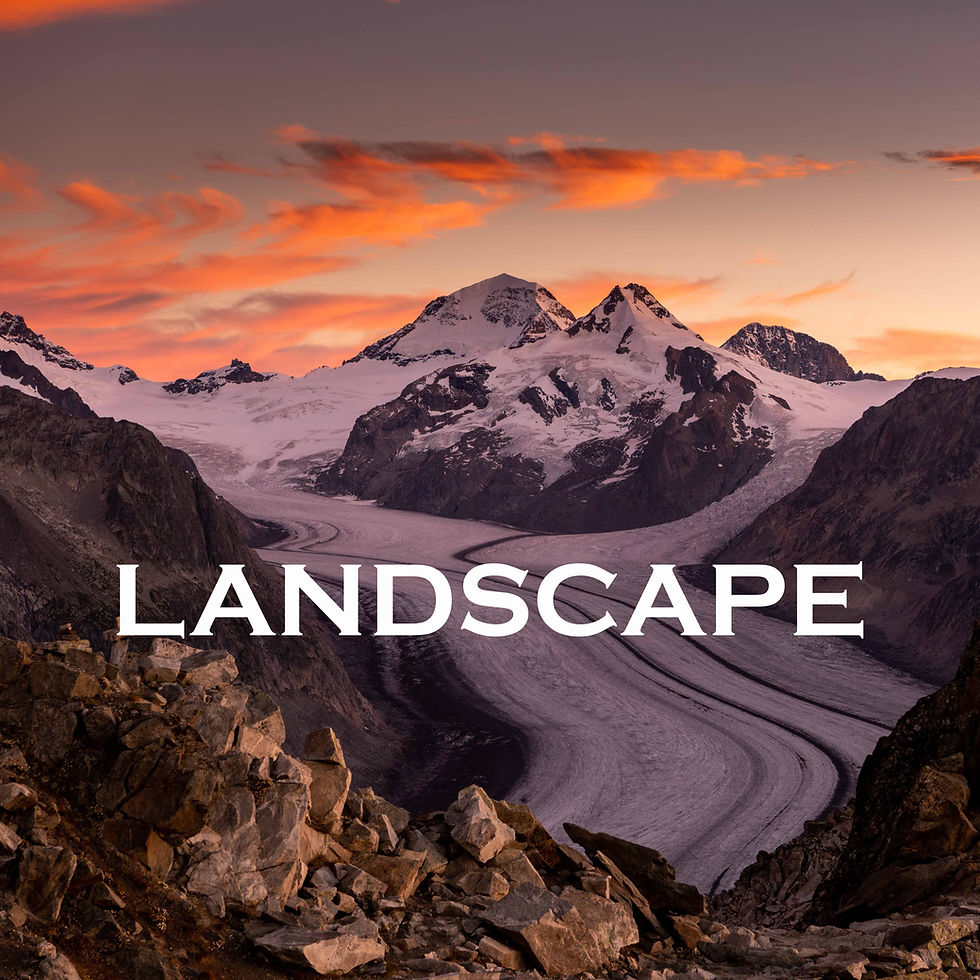 01 Landscape (1 von 1)_ps