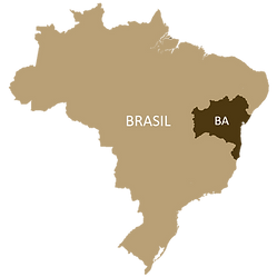 bahia mapa.png