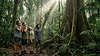 alunos em viagem pedagógica contemplam a floresta amazônica.png