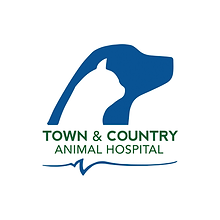 Untitled design (38).png