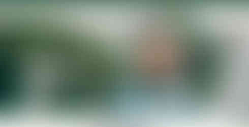 Quiz CTA on Home Page Navigation Menu and Hero Section