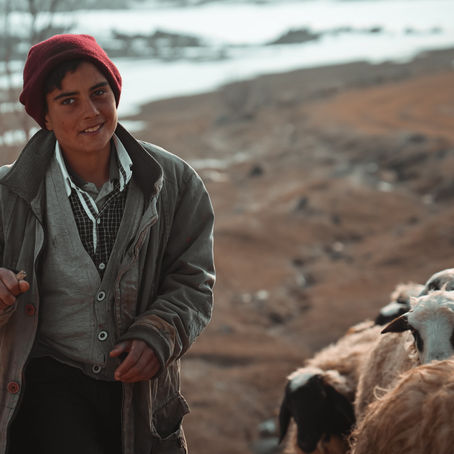 El Corazón de un Pastor 