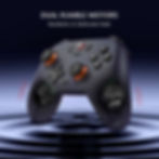 Miniatura: GameSir Switch Controller Hall Effect Gamepad NINTENDO
