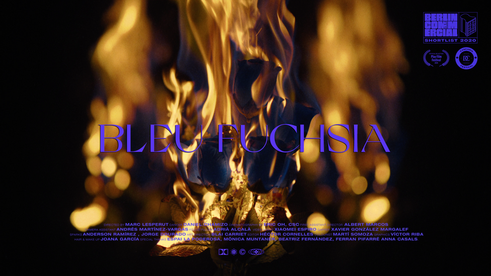 MUSIC VIDEO / BLEU FUCHSIA : ODEZENNE
