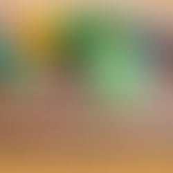 Nourish Your Mood This Season