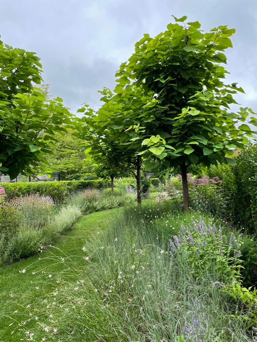 Long Island sustainable planting design with seasonal color and native species