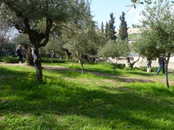 P1180296