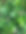 Beach Plum.jpg