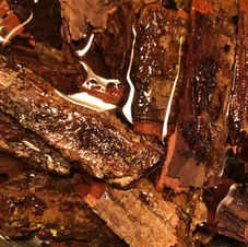 Hickory Syrup