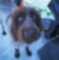 CLiffie - 1_edited.jpg