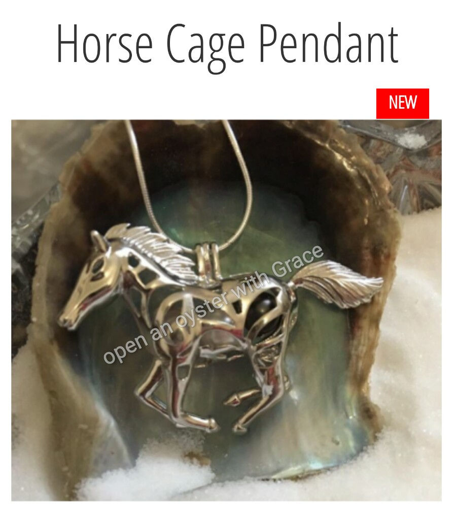 Horse cage penddant