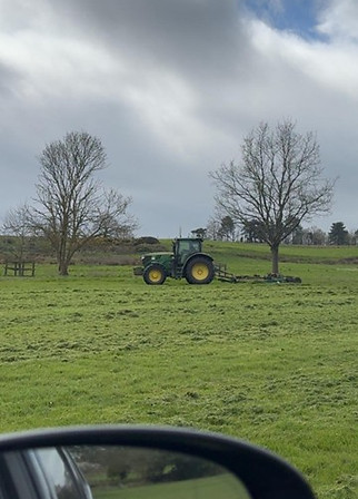 Hadleigh Show Cutting.jpg